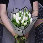 White Tulips